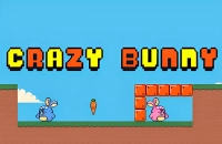 PLay Crazy Bunny now!