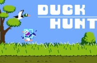 PLay Duck Hunt now!