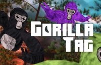 PLay Gorilla Tag now!