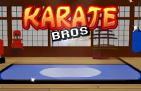 Karate Bros (Karate Bros)