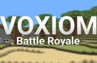 PLay Voxiom.io now!